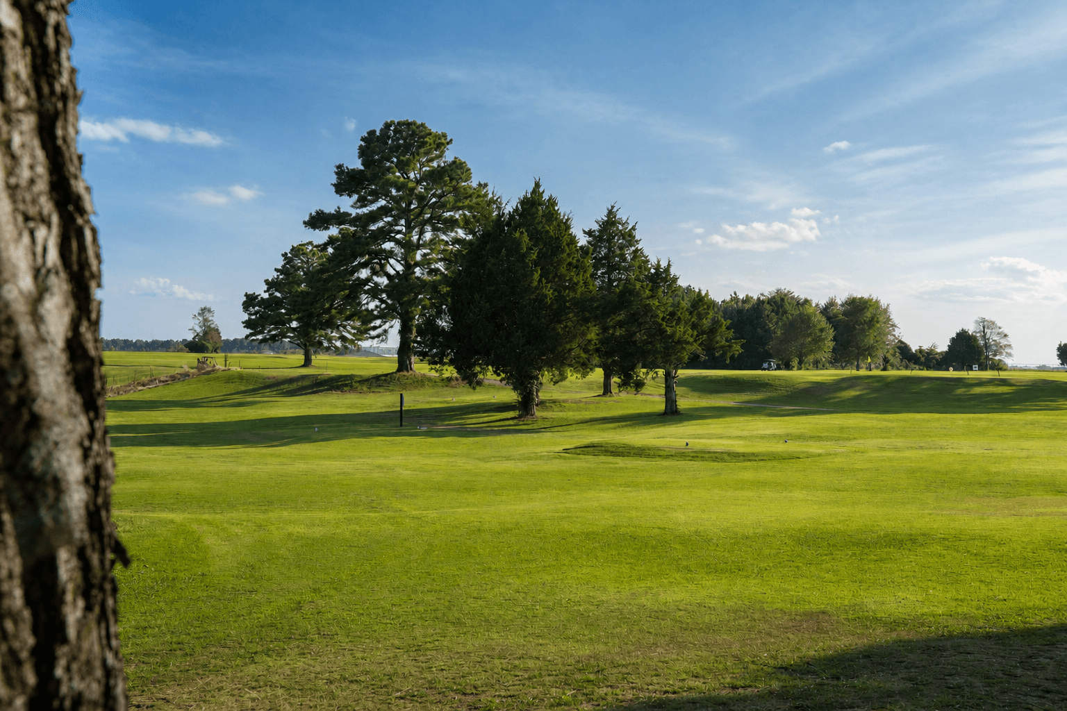 High Pointe Golf Course — fairway lined with pine trees in golden afternoon light, Jackson Tennessee